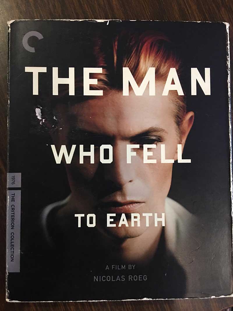 The Man Who Fell to Earth