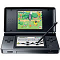 Nintendo DS Lite